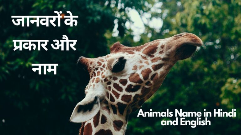 nimals Name In Hindi And English